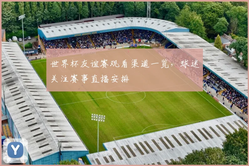 世界杯友谊赛观看渠道一览,球迷关注赛事直播安排