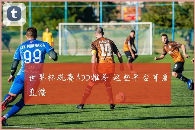 世界杯观赛App推荐 这些平台可看直播